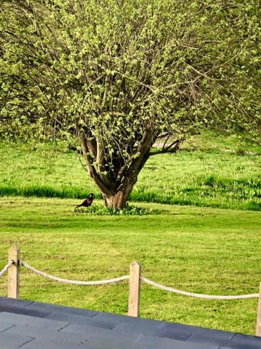 Cosy Farmhouse Escape In Monmouthshire Villa Wolves Newton Eksteriør billede
