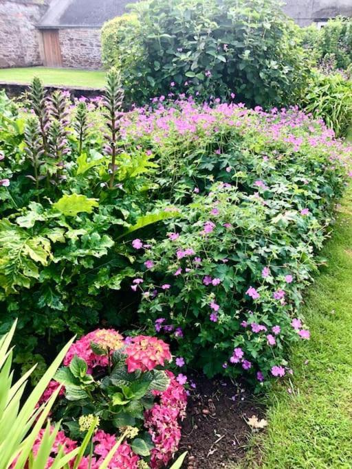 Cosy Farmhouse Escape In Monmouthshire Villa Wolves Newton Eksteriør billede