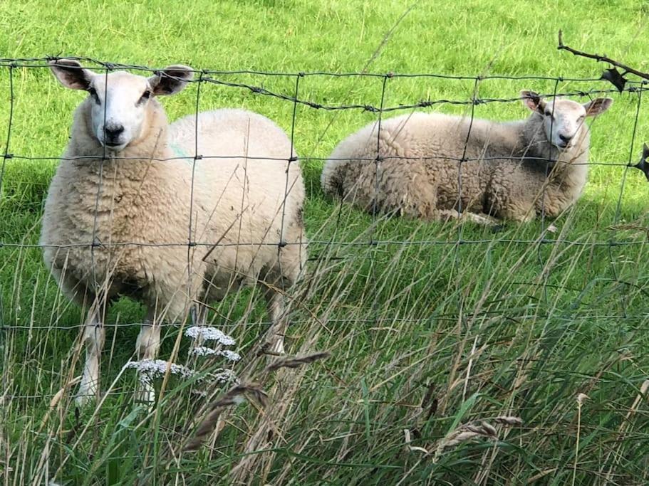 Cosy Farmhouse Escape In Monmouthshire Villa Wolves Newton Eksteriør billede