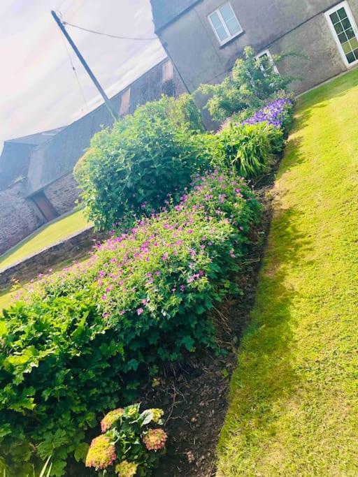 Cosy Farmhouse Escape In Monmouthshire Villa Wolves Newton Eksteriør billede